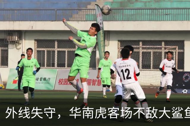 外线失守，华南虎客场不敌大鲨鱼