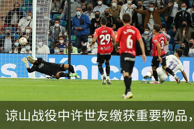 谅山战役中许世友缴获重要物品，武元甲愤怒表示：死也要抢回来！