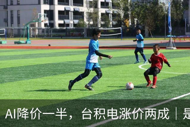 AI降价一半，台积电涨价两成｜是计价单位从 token 换成了任务